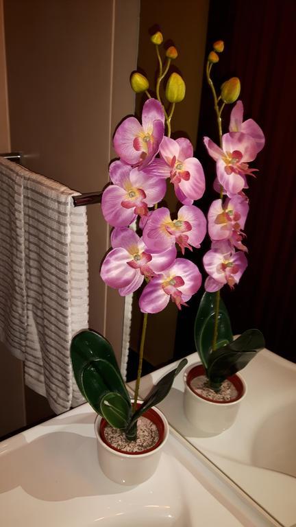 Casa Violeta *